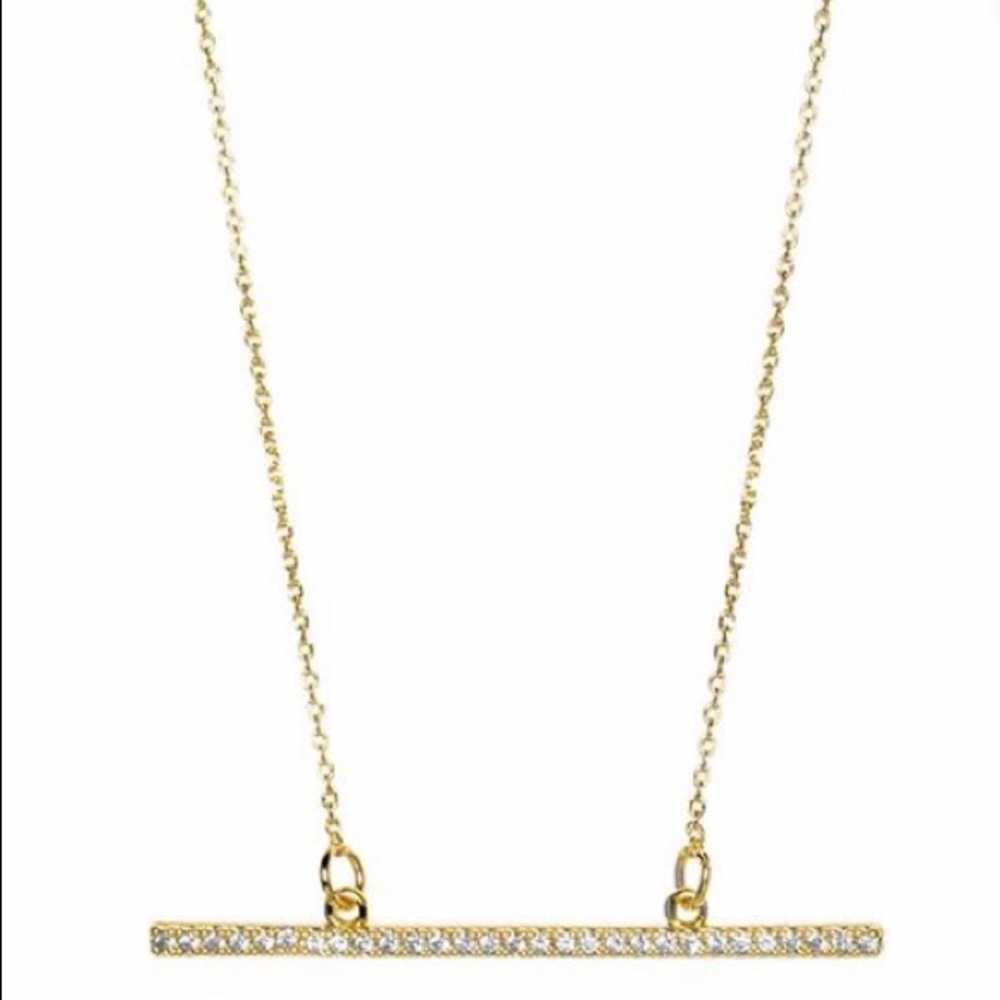 NWT Uncommon James Raise the Bar Higher Pendant